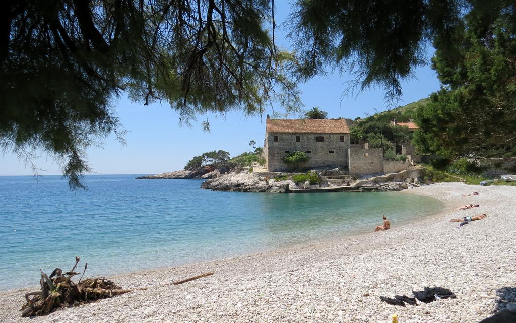 Pinna Hvar
